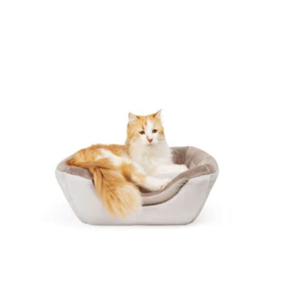 EveryYay 2-in-1 Novelty Pyramid Convertible Cat Bed, 16" L X 16" W, Gray